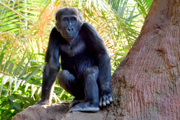 TorontoZoo_Nassir DSC_3759