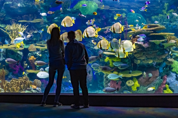 Ripley’s Aquarium of Canada Joins the Toronto CityPASS Program