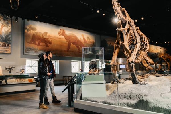 Field_InteractiveExhibits_Lhewett-19