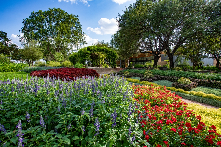 Botanical Gardens_4532