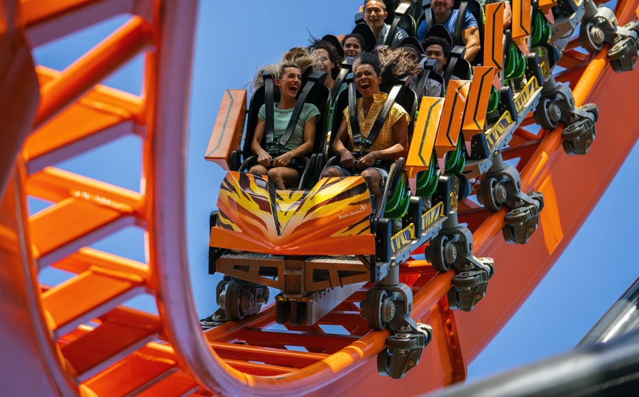 Tigris - Riders