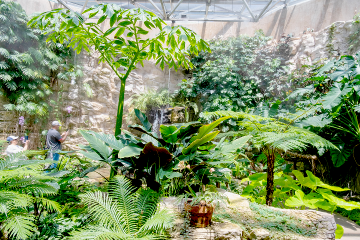 FernGrotto-CityPASS_720x480