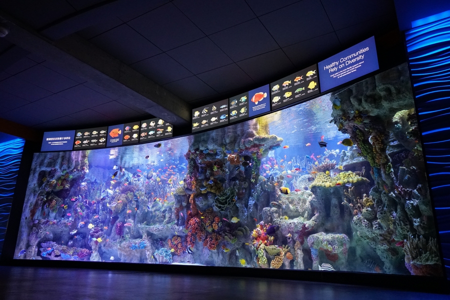 NEA_tank-exhibit