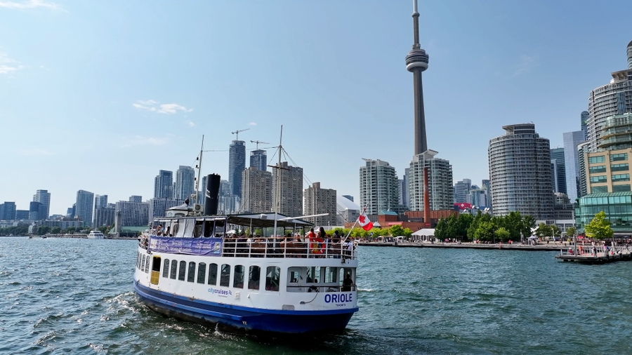 CCToronto_Oriole 3
