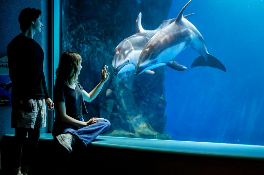 Shedd_165A9168_ZO_RT