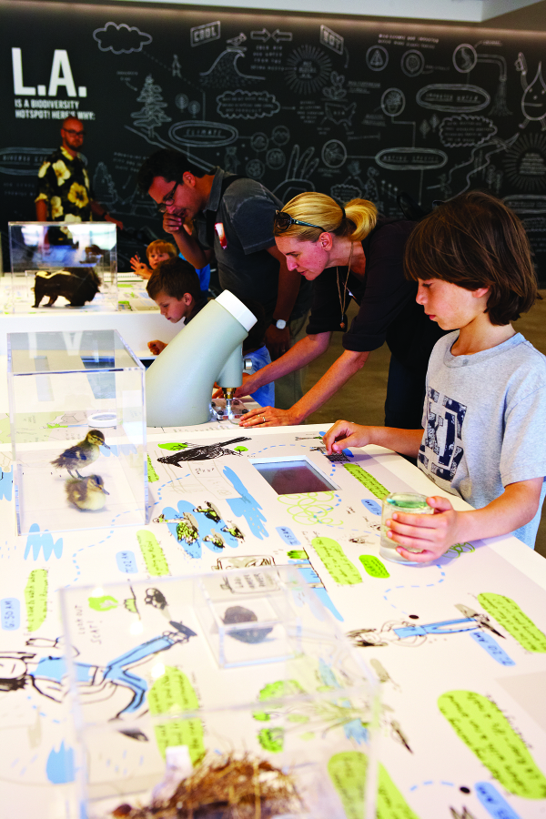 Guests using Nature Lab