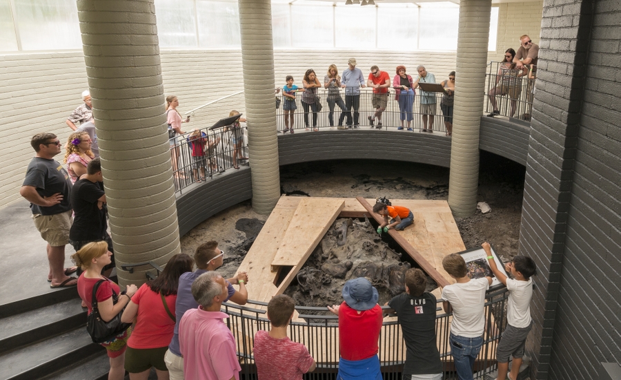 Observation Pit