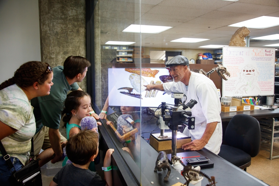 Lab viewers