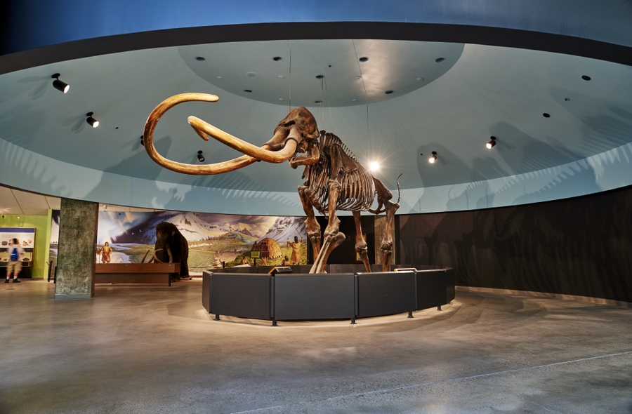 Mammoth