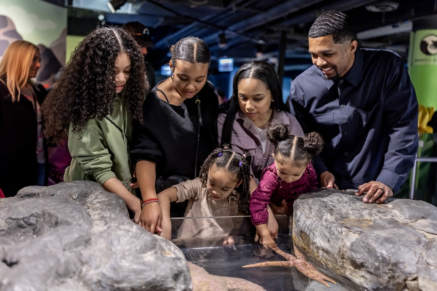 Shedd_hands-on