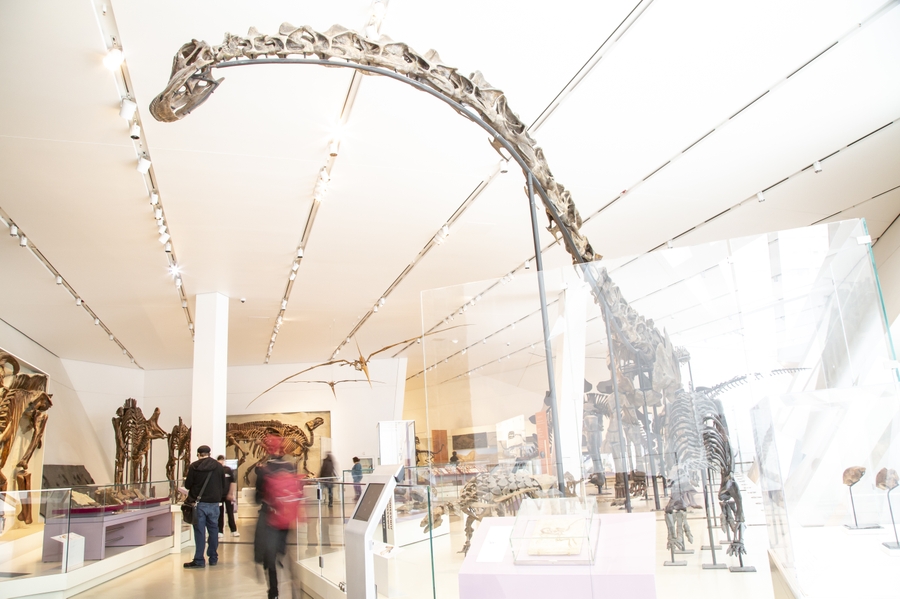 ROM_dinosaurs