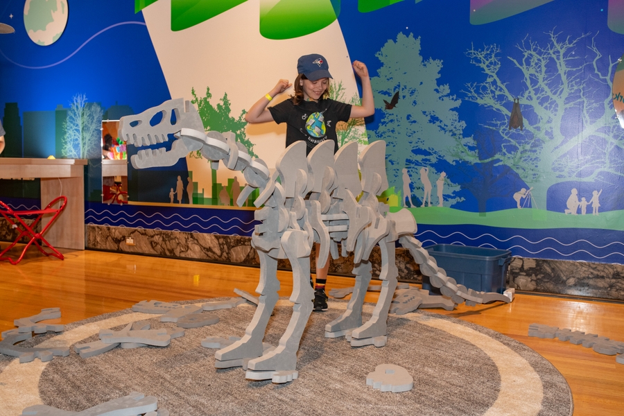 ROM_Wonderworks