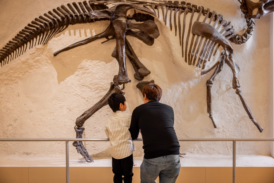 ROM_dinosaur
