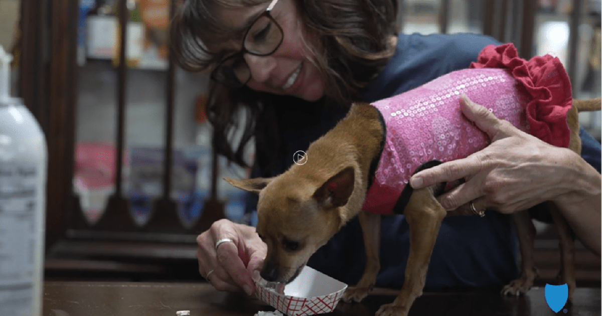 Looking back on a year of giving at Blue Shield