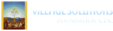 logo-vsf