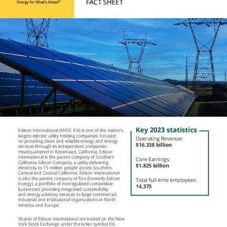 G22-032EIXFactSheet2022Update_WCAG_thmb