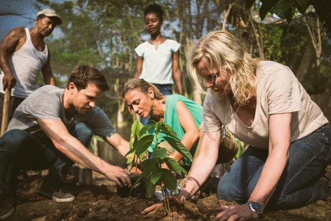 Planting