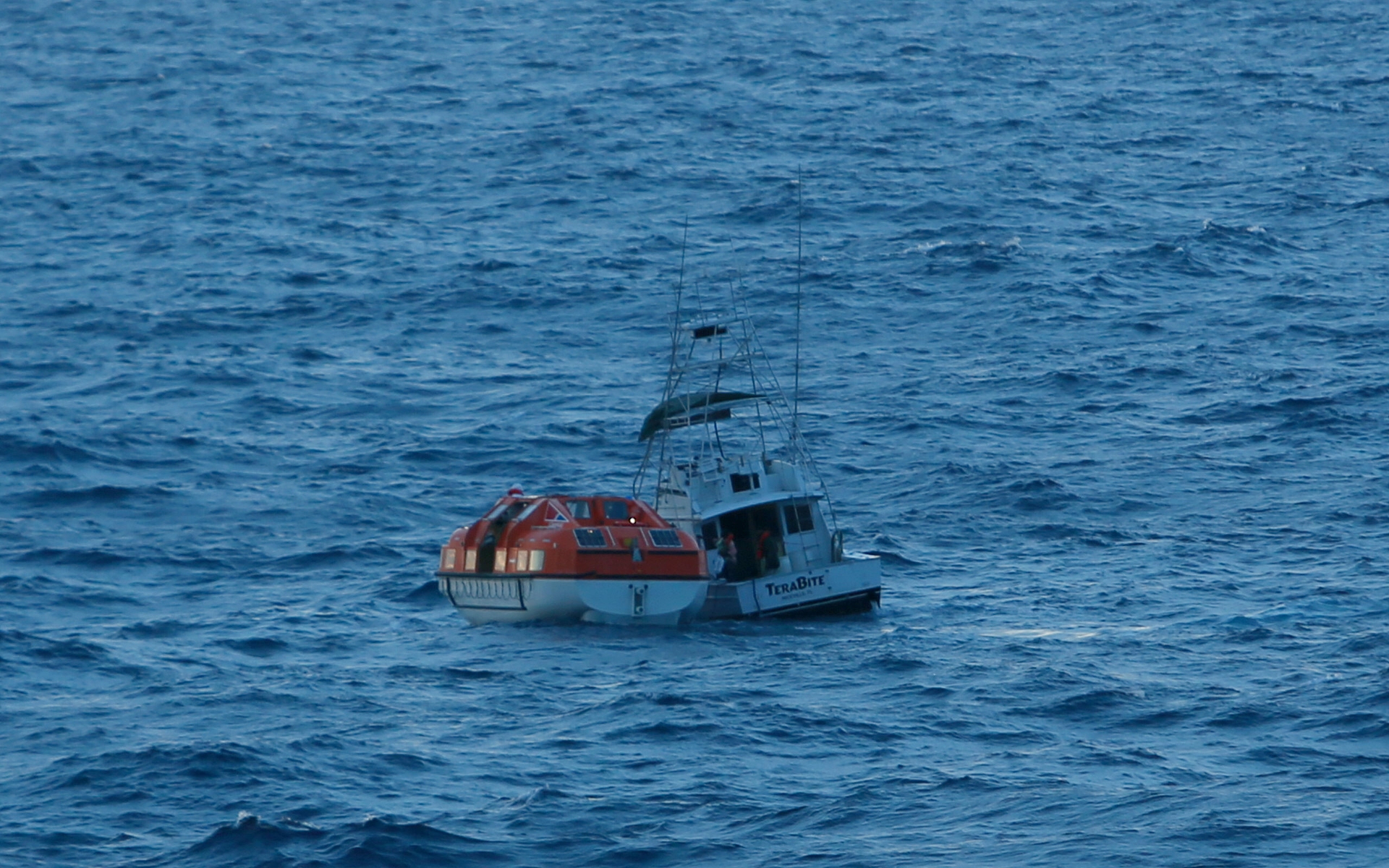 Dream Rescue1