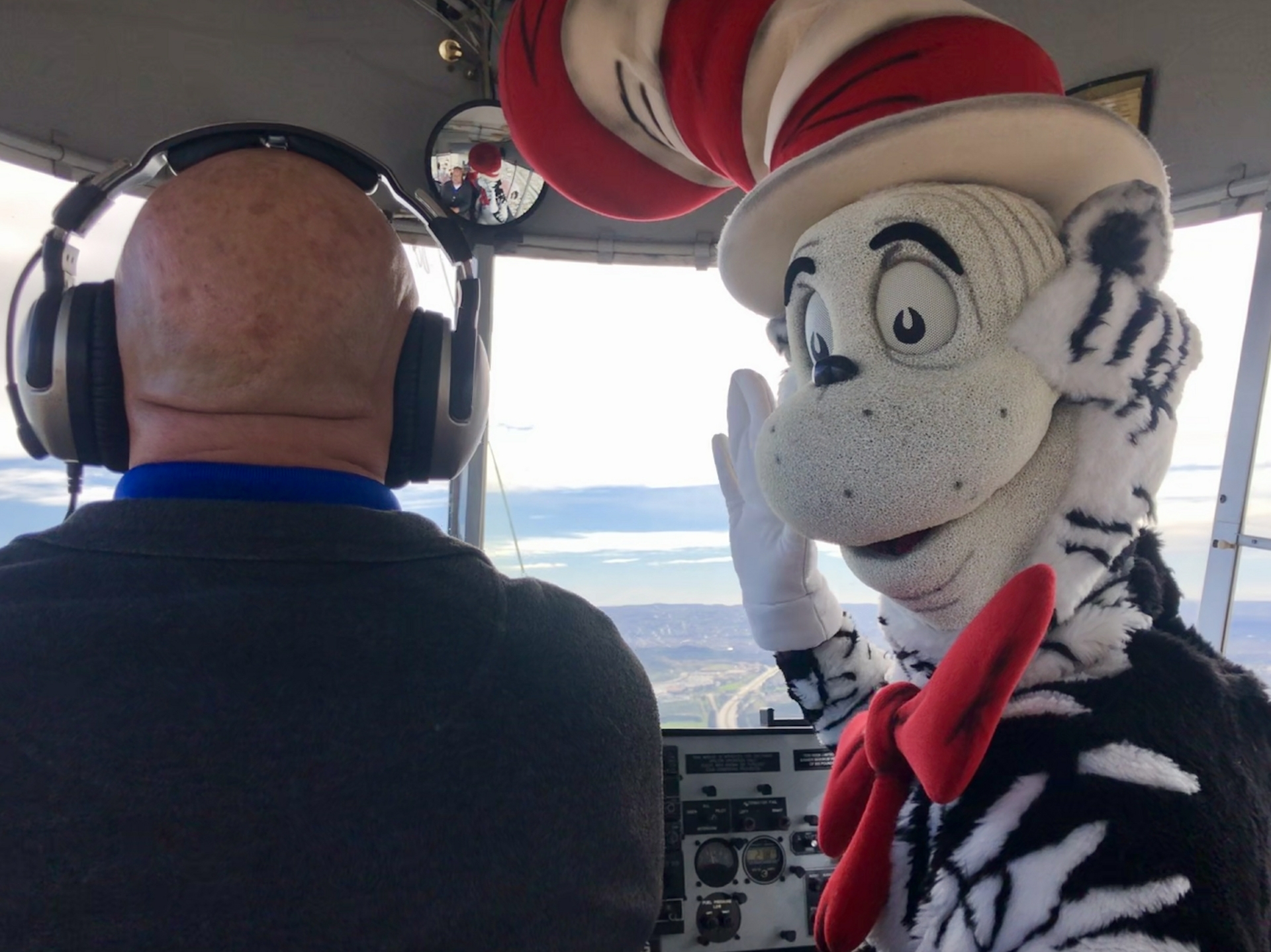 Cat-with-pilot