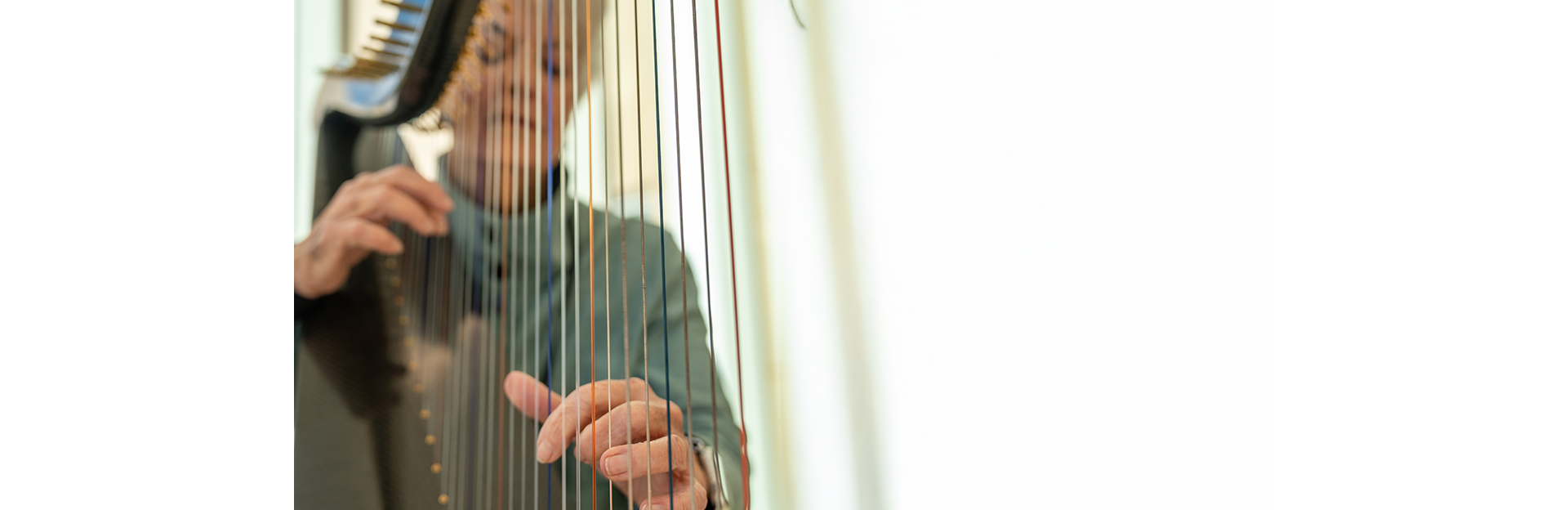 Harpist new