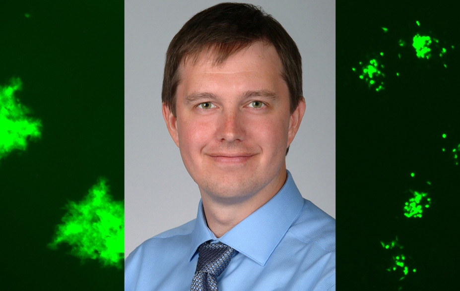 Eric Bartee, PhD | UNM Comprehensive Cancer Center