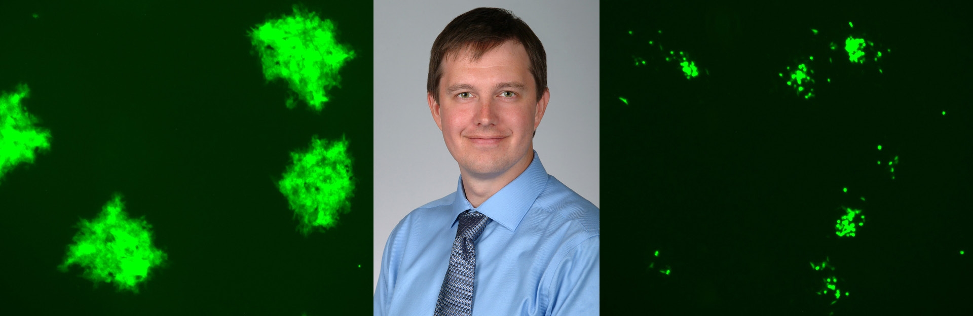 Eric Bartee, PhD | UNM Comprehensive Cancer Center