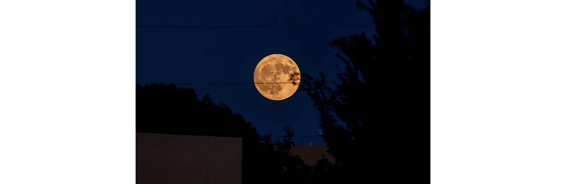 night_light2