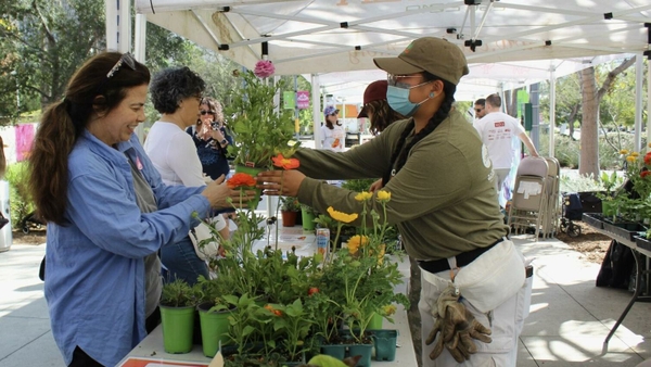 69824a1dcae65.image