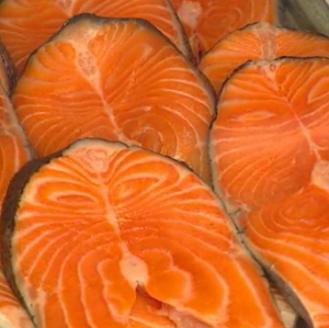 Fish - Salmon