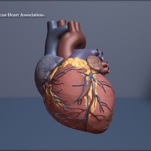 Bridging critical gaps in advanced heart failure care 