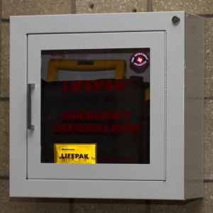 AED - Wall Mounted Horizontal