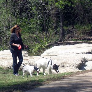 dog walking 