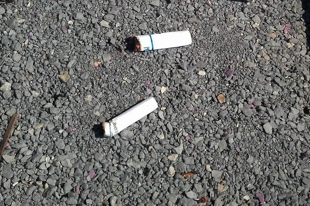 Cigarette butts