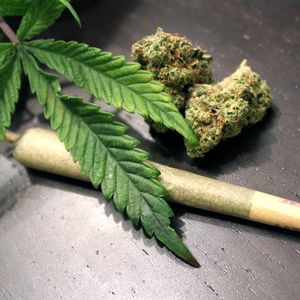Marijuana use associated with complications after heart attack or procedures