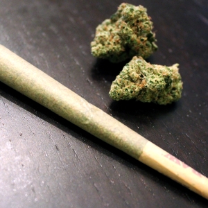 Marijuana-dried-cigarette