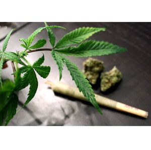 Marijuana-various