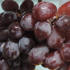 Red Grapes
