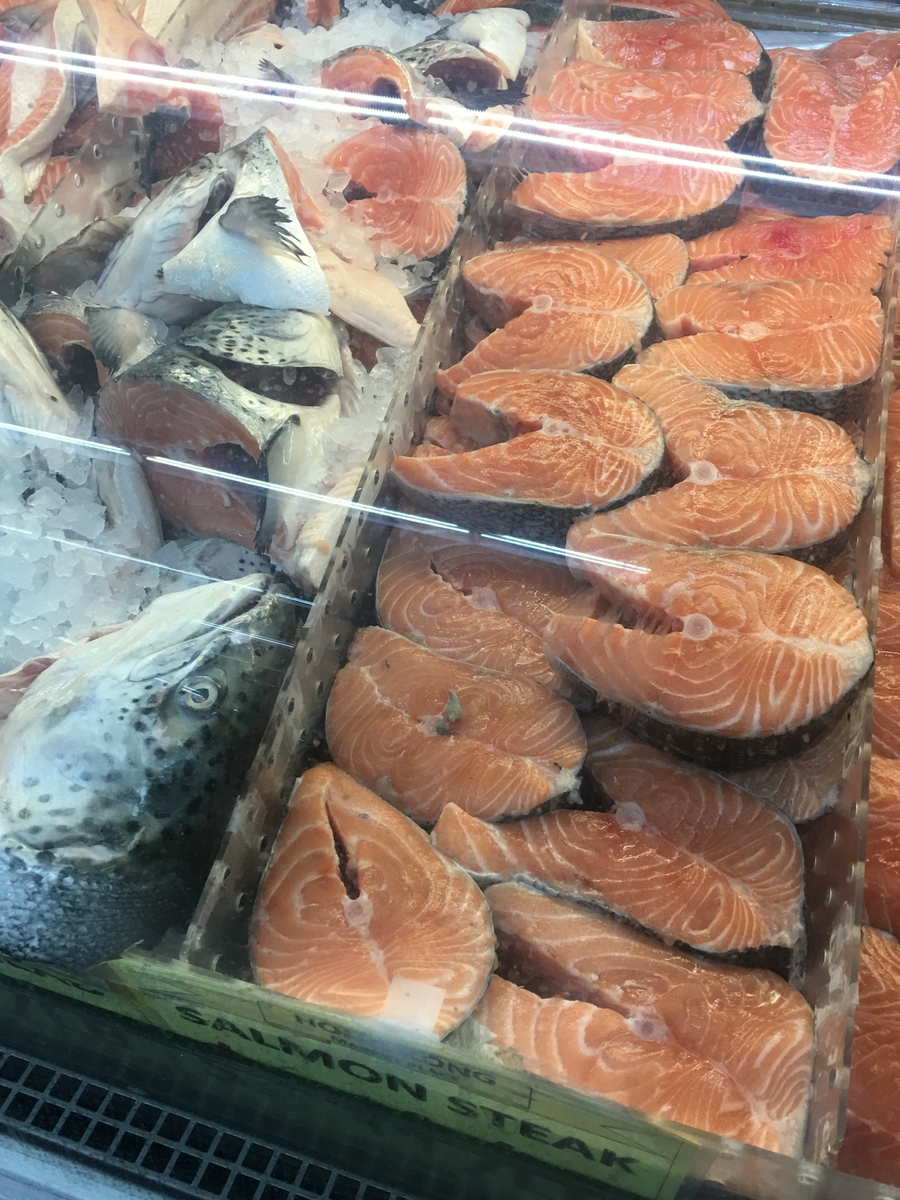 Salmon