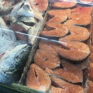 Salmon
