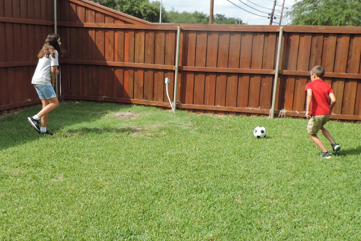 Backyard soccer