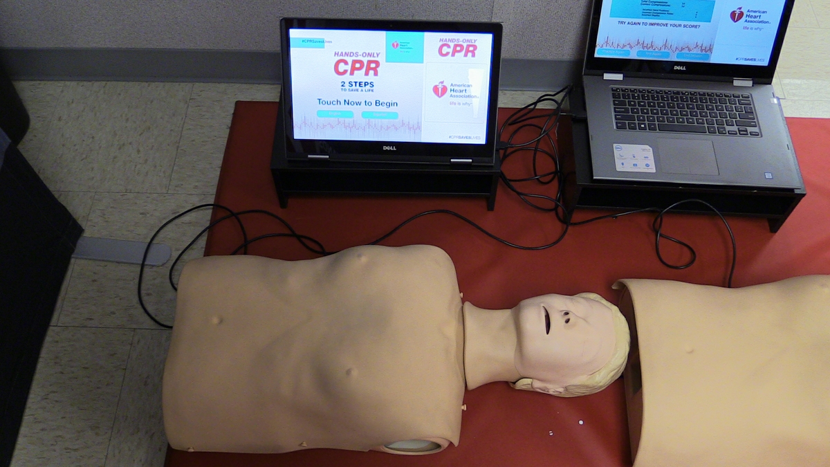 CPR compression test manikin