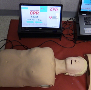 CPR compression test manikin