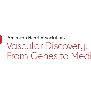 Vascular Discovery logo