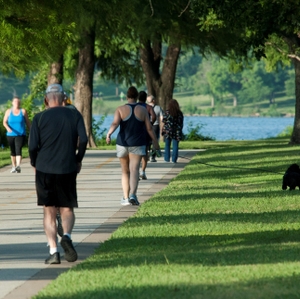 Walking path at the park