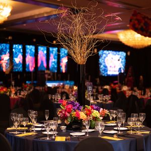 Houston Heart Ball Ballroom