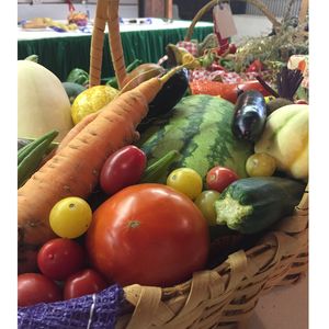 Colorful fruits and vegetables