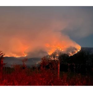 Wildfire