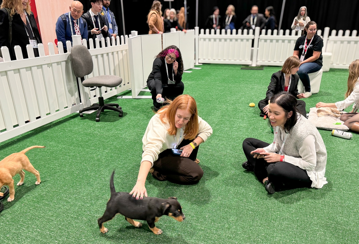SS24 Puppy snuggle zone