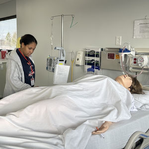 Simulation Lab Activity