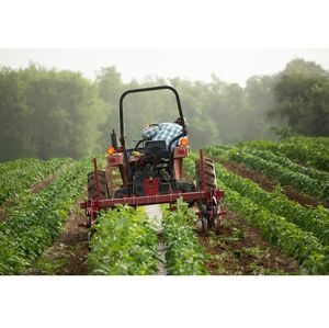 Cuatro organizaciones reciben fondos para combatir la inseguridad alimentaria 